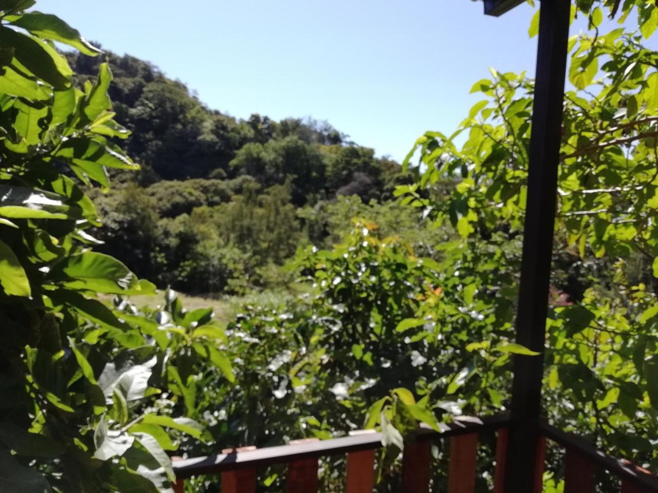 La Guayaba Monteverde Buitenkant foto
